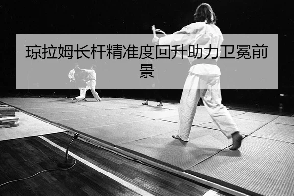 qiong-la-mu-zhang-gan-jing-zhun-du-hui-sheng-zhu-li-wei-mian-qian-jing-2-213.jpg